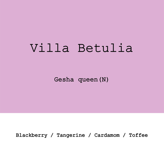 New Crop|Colombia Villa Betulia Gesha Queen Natural