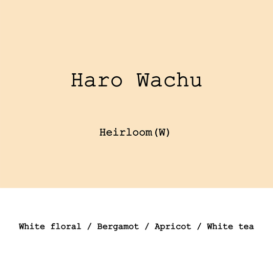 Ethiopia Haro Wachu Heirloom Washed G1
