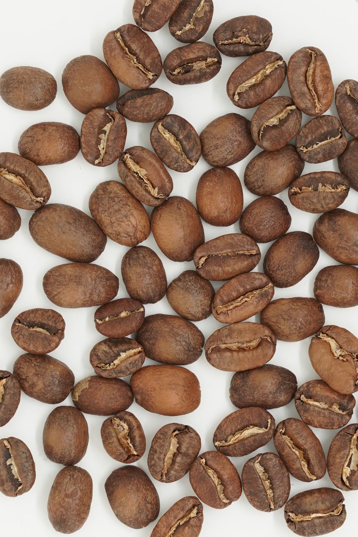 Honduras Los Ciruelos Geisha Washed