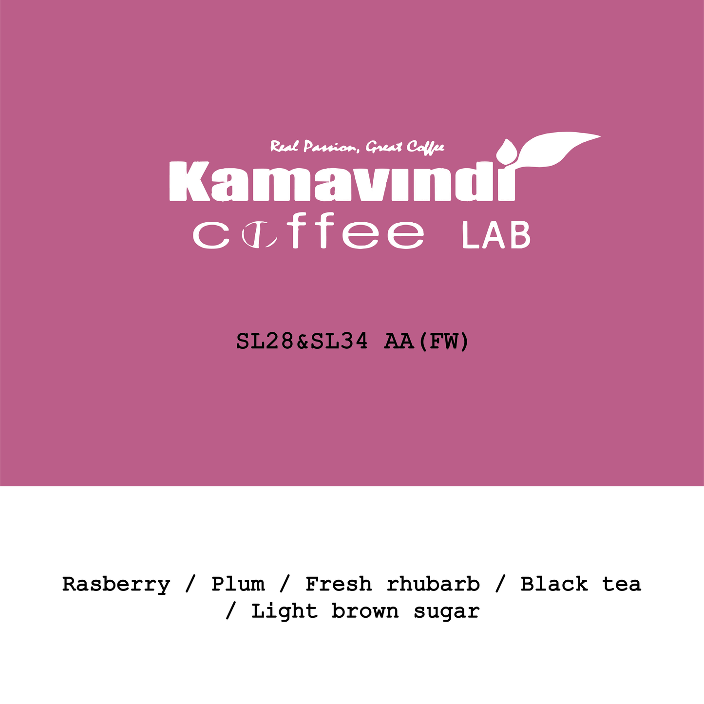2026 New Crop Kenya Kamavindi coffee lab SL28&SL34 AA Fully Washed