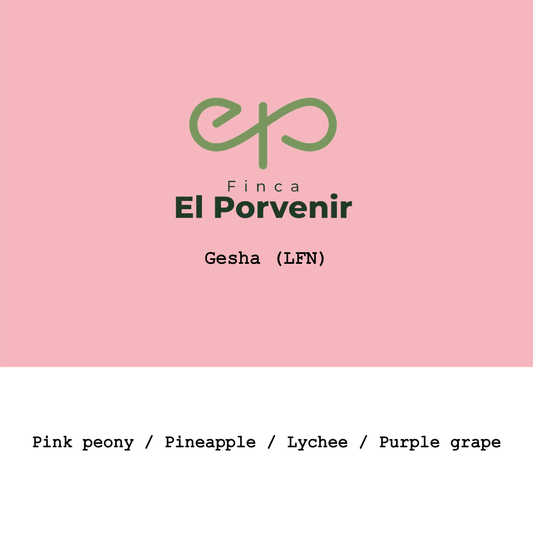 Colombia El Porvenir Geisha Light fermentation natural