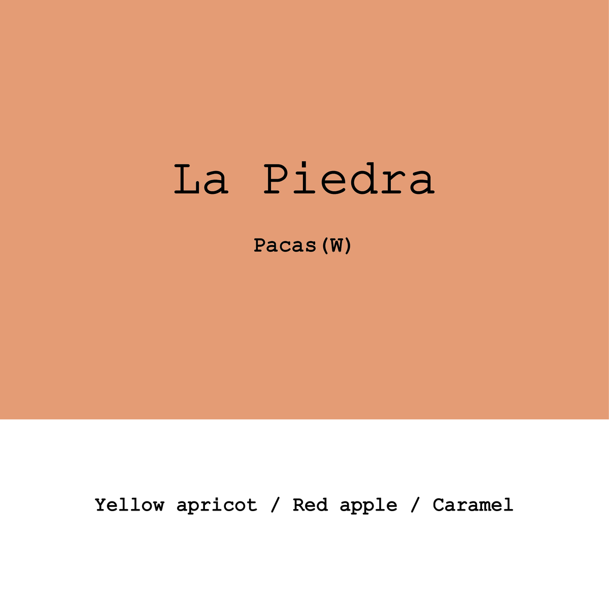 Honduras La Piedra Pacas Washed