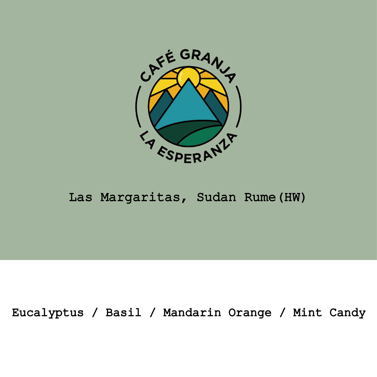 Colombia CGLE-Las Margaritas Sudan Rume Hybrid Washed