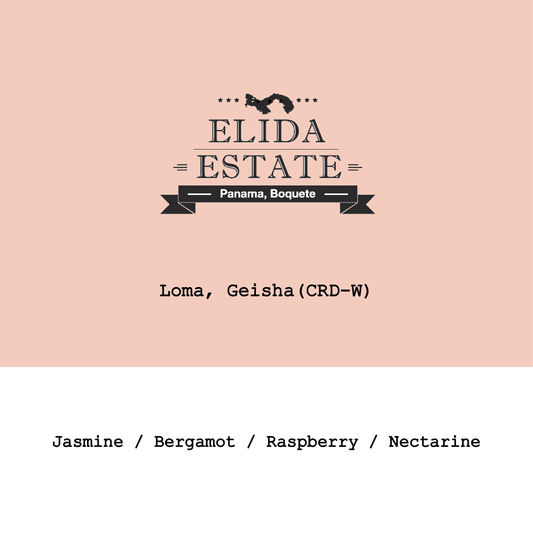Panama Elida estate-Loma Geisha CRD MEC. washed #040426