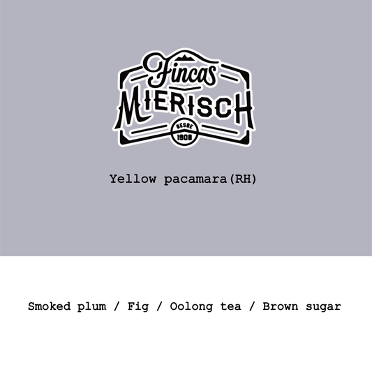 New Crop|Nicaragua Finca Mierisch-El Limoncillo Yellow Pacamara Red Honey