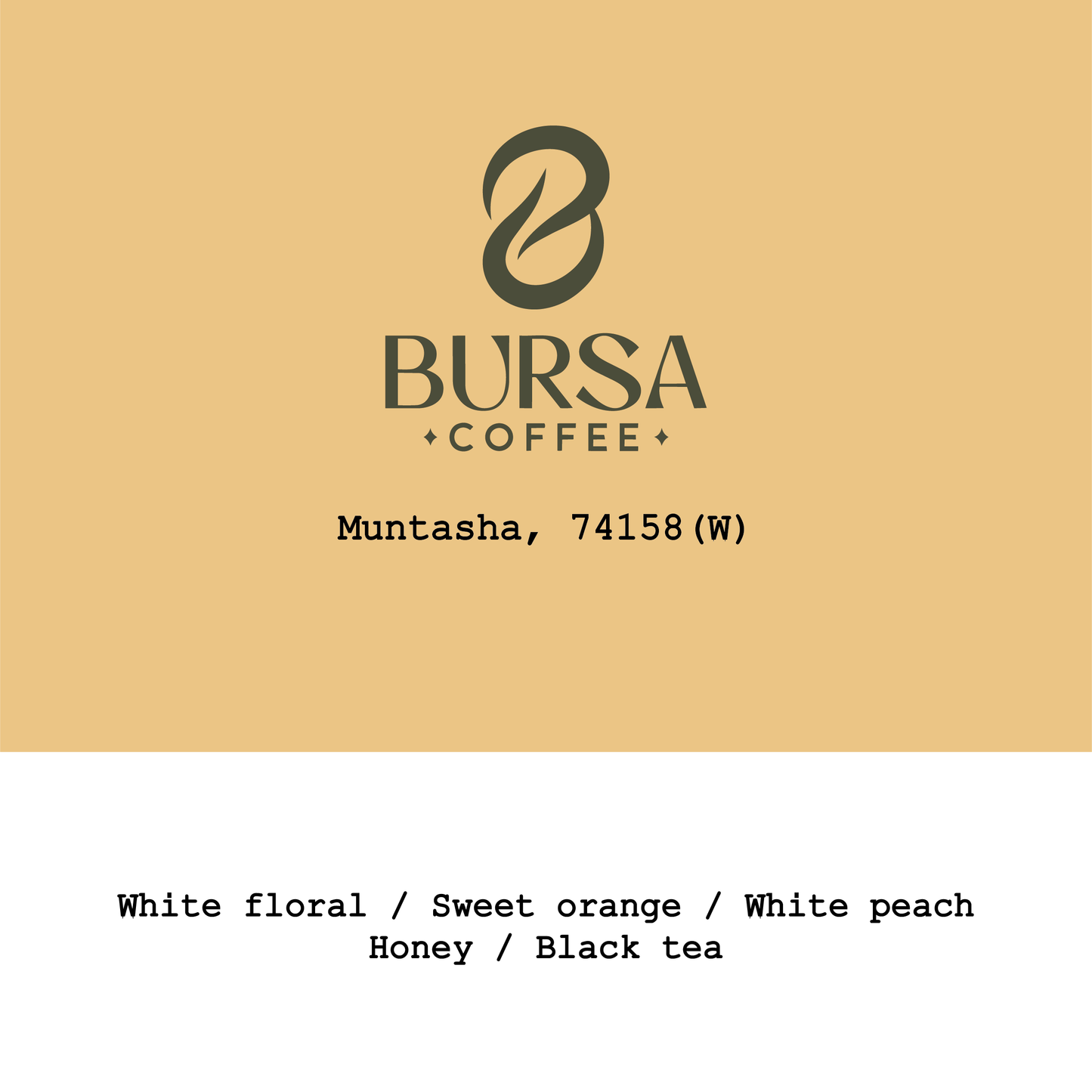 2026 New Crop Ethiopia Muntasha 74158 Washed