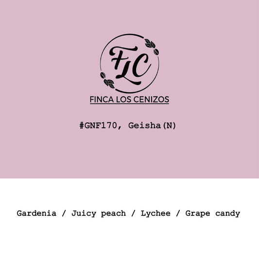 Panama Los Cenizos Geisha Cold-fermented natural #GNF170