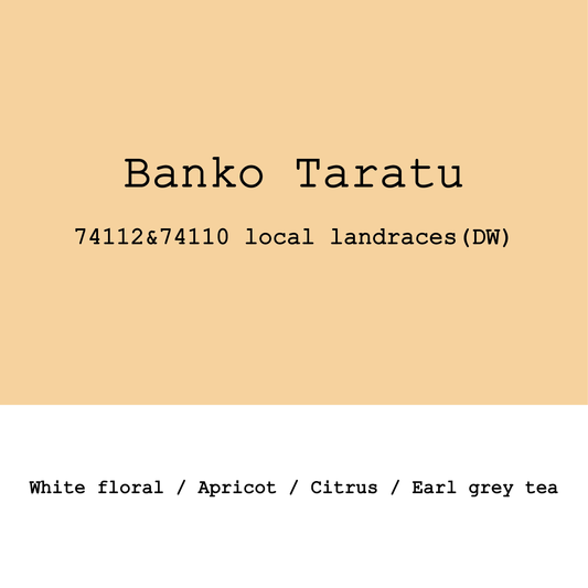 Ethiopia Banko Taratu Heirloom Double Washed