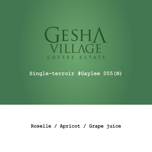 Ethiopia Gesha Village Single-terroir#Gaylee055 Illubabor natural
