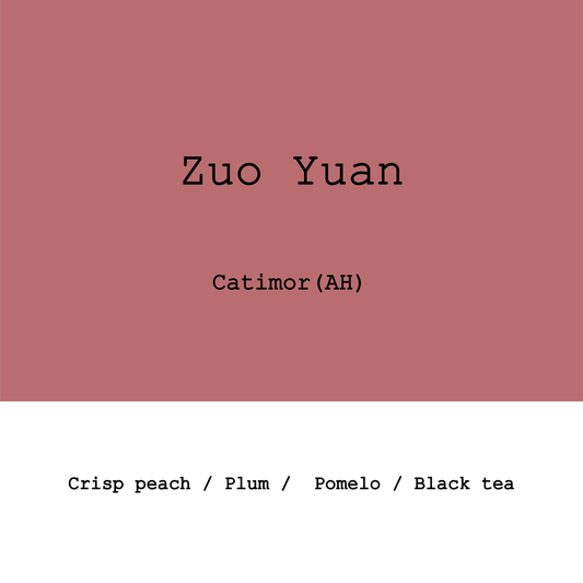 China Yunnan Zuoyuan Catimor Anaerobic Honey Geisha Mosto