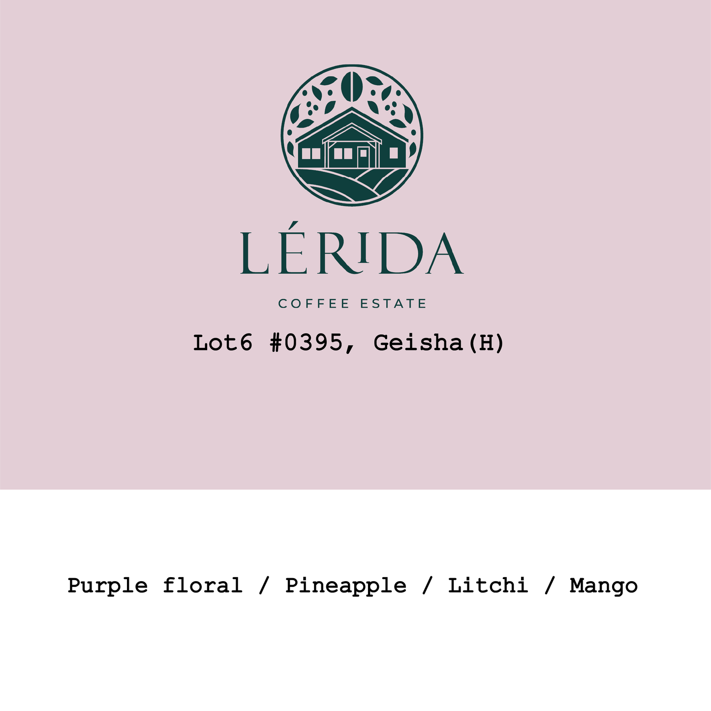 New Crop|Panama Lérida Estate Green Tip Geisha Cold Room Honey Lot6 #0395