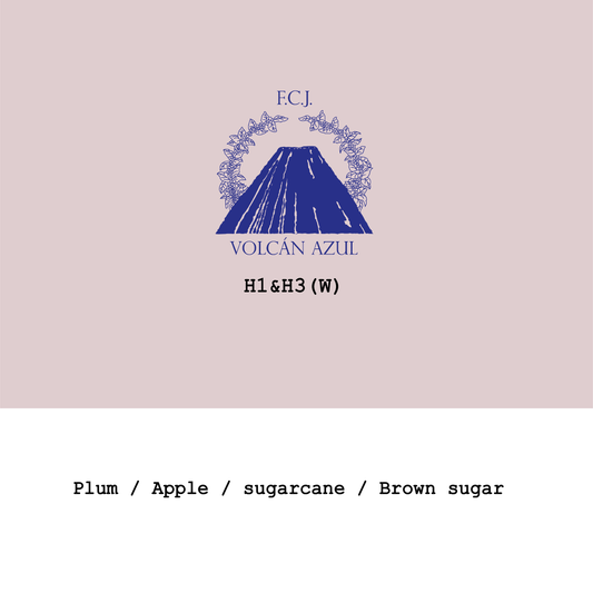 New Crop|Costa Rica Volcan Azul H1&H3 Washed Mic-lot