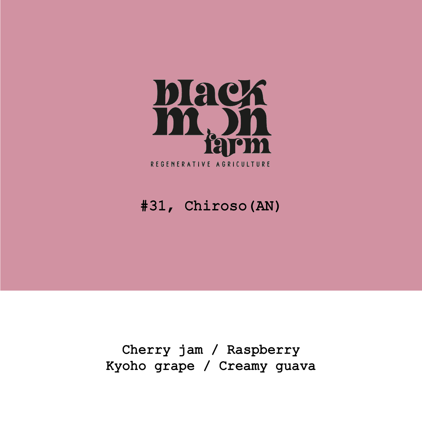 Panama Black moon Chiroso Anaerobic Natural Lot31