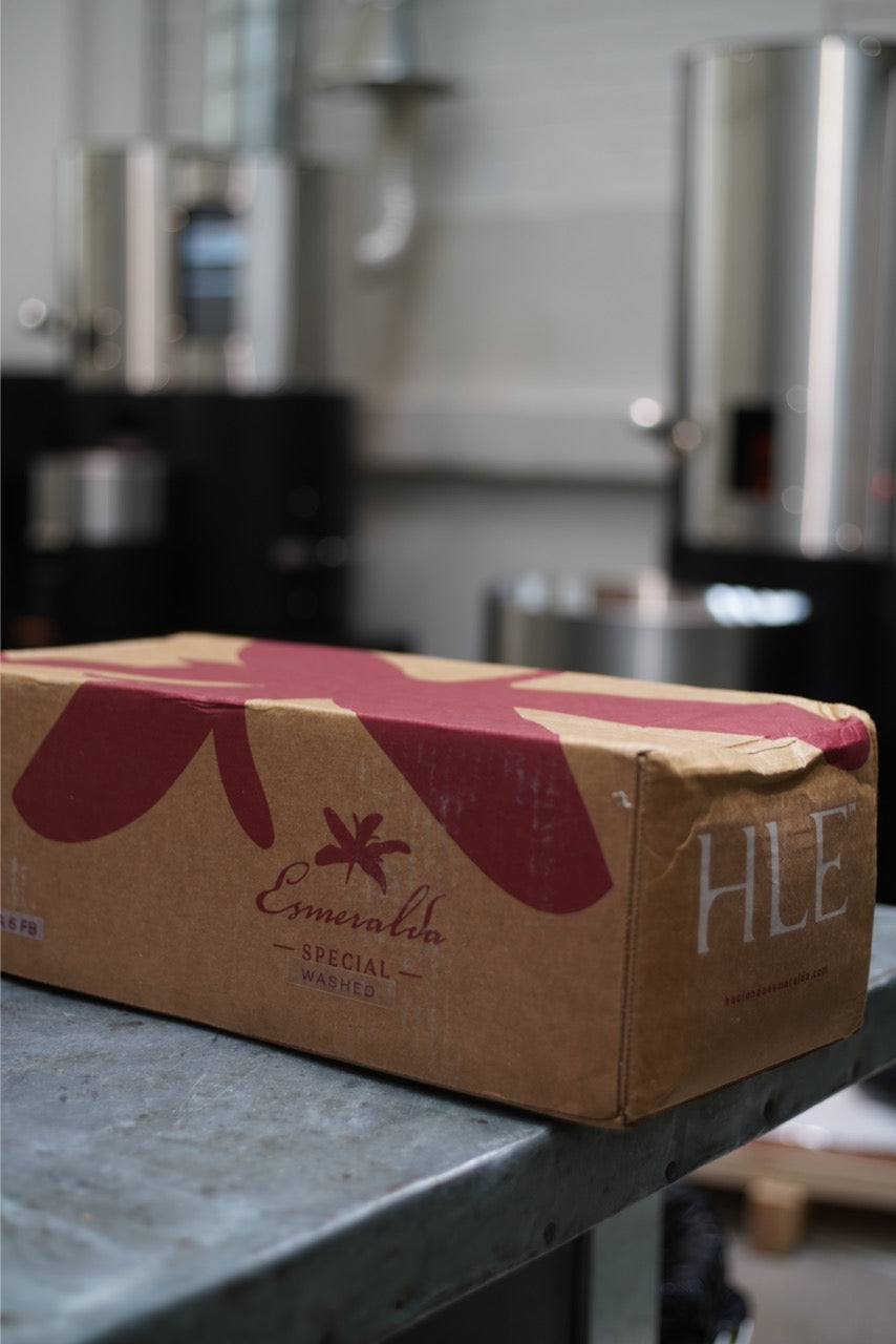 Panama HLE-Cañas Verdes Cabaña Arriba #6FB Geisha Cold fermentation washed