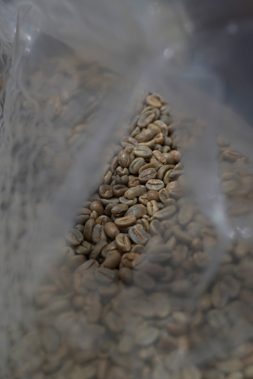 Colombia El Porvenir Geisha Natural