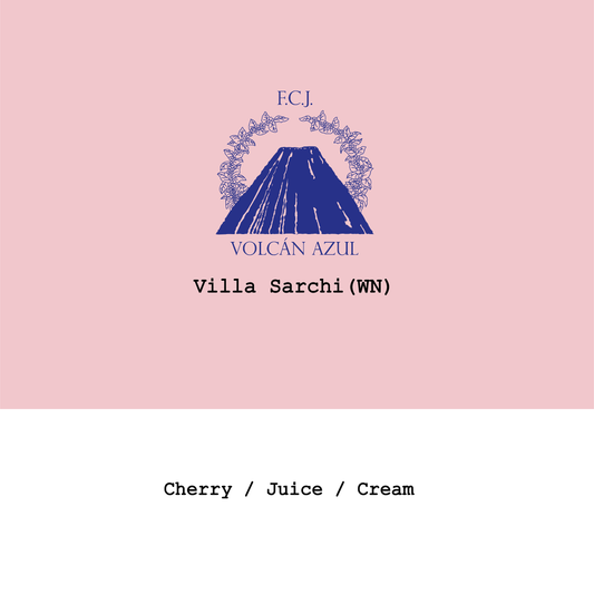 New Crop|Costa Rica Volcan Azul Villa Sarchi Warm Natural