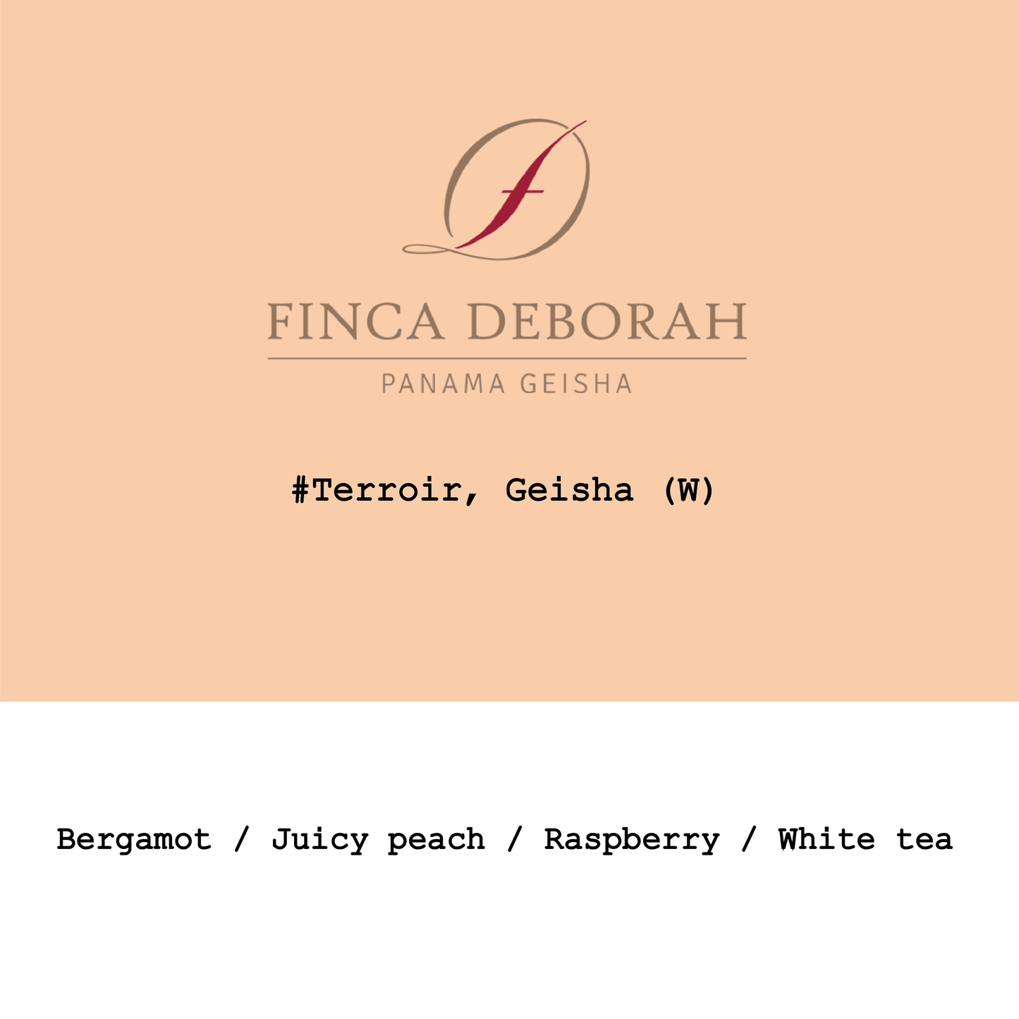 New Crop|Panama Finca Deborah Geisha Traditional washed #Terroir