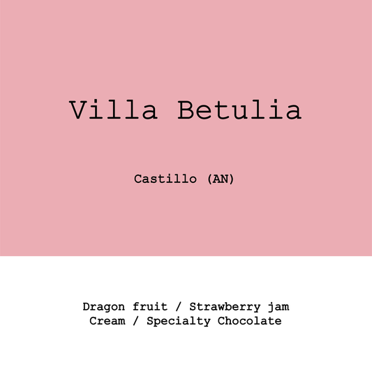 New Crop|Colombia Villa Betulia Castillo 45h Aerobic Slow Dry Natural