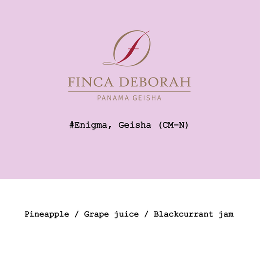 New Crop|Panama Finca Deborah Geisha Extended Duration CM Natural #Enigma