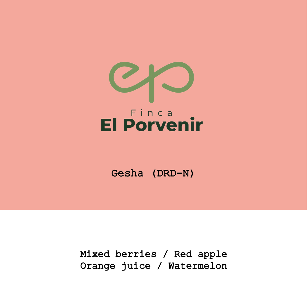 Colombia El Porvenir Gesha Dark-room Dry Natural