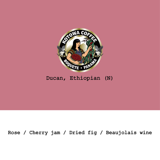 Panama Kotowa Duncan Ethiopian heirloom Natural
