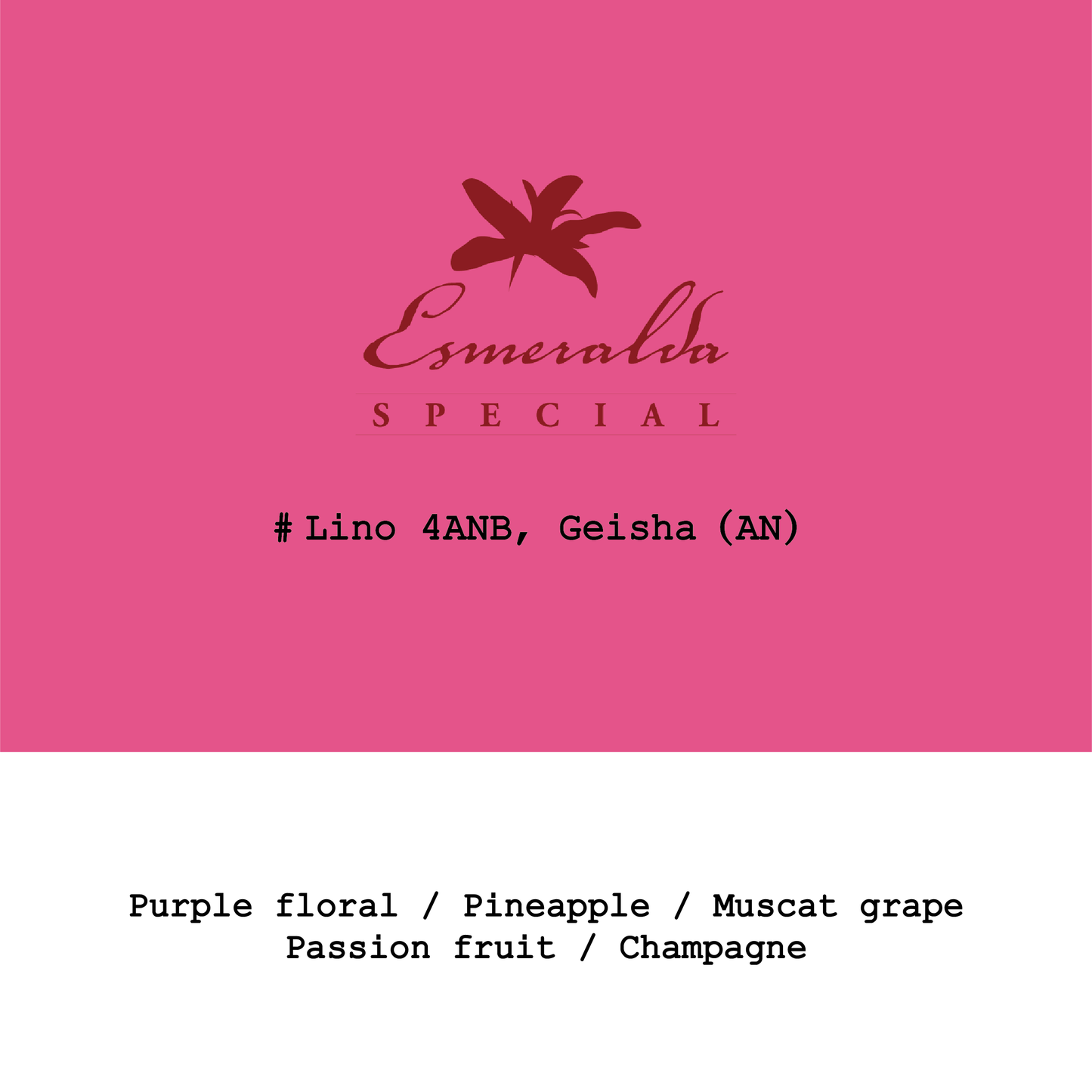 2026 New Crop Panama HLE-Cañas Verdes Lino #4ANB Geisha Anaerobic natural