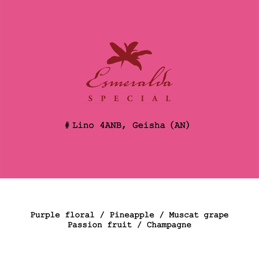 Panama HLE-Cañas Verdes Lino #4ANB Geisha Anaerobic natural