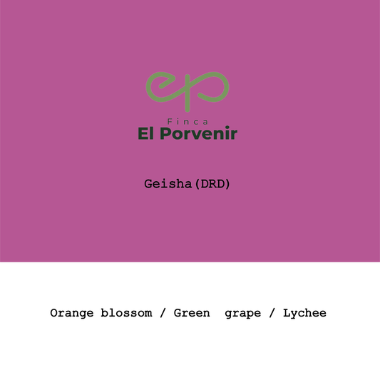 Colombia El Porvenir Geisha DRD Honey