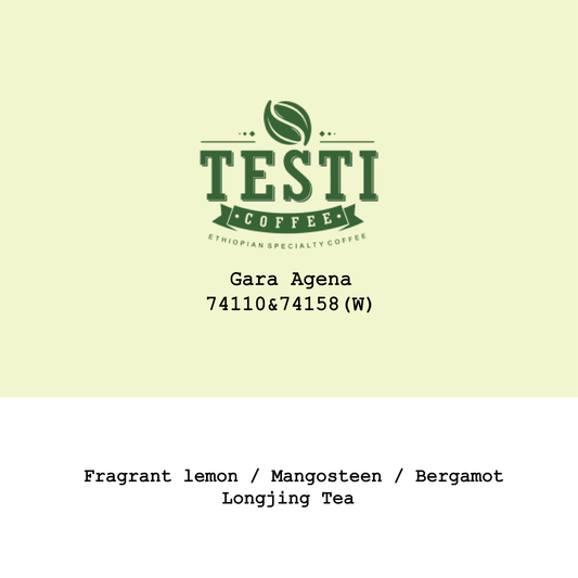 Ethiopia Gara Agena 74110&74158 Washed