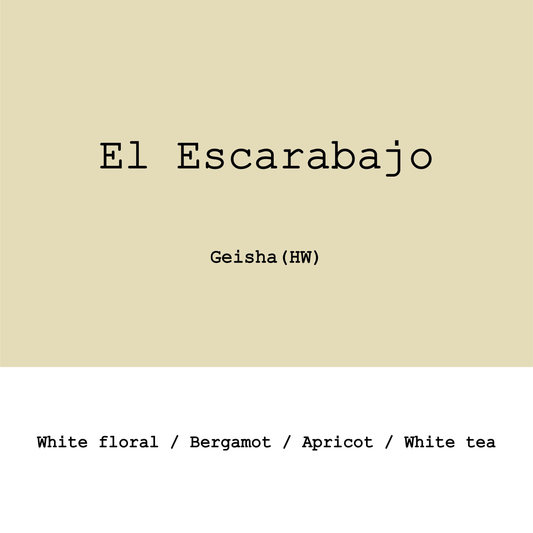 Colombia El Escarabajo Geisha Hybrid washed