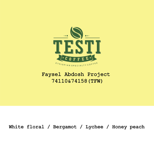Ethiopia Faysel Abdosh Project 74110&74158 Triple Fermentation Washed