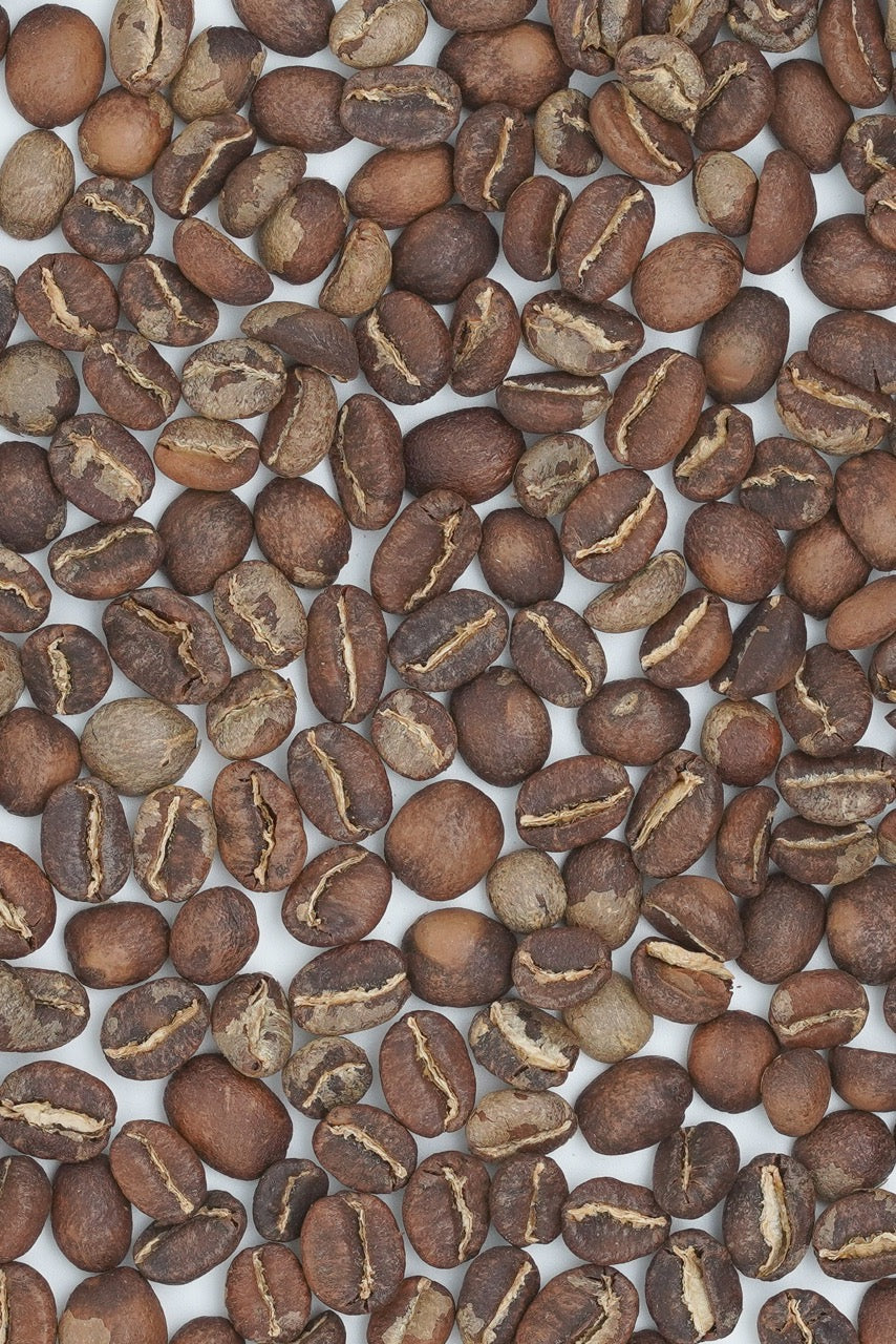 2026 New Crop Ethiopia Gara Agena 74110&74158 Washed