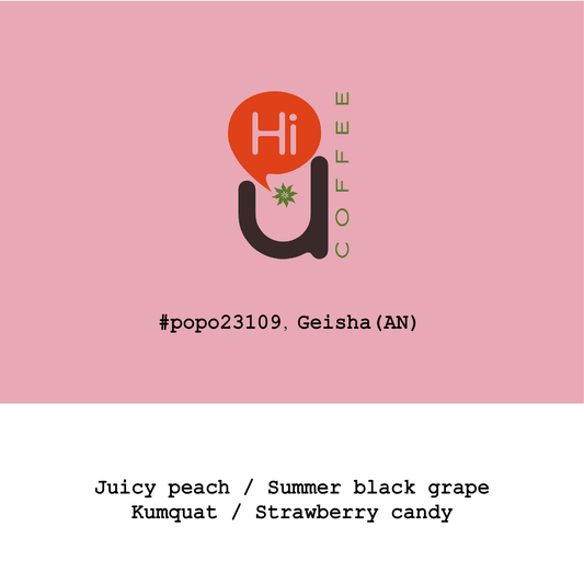 Panama HiU Coffee -Finca Emporio Geisha Anaerobic natural #Popo23109