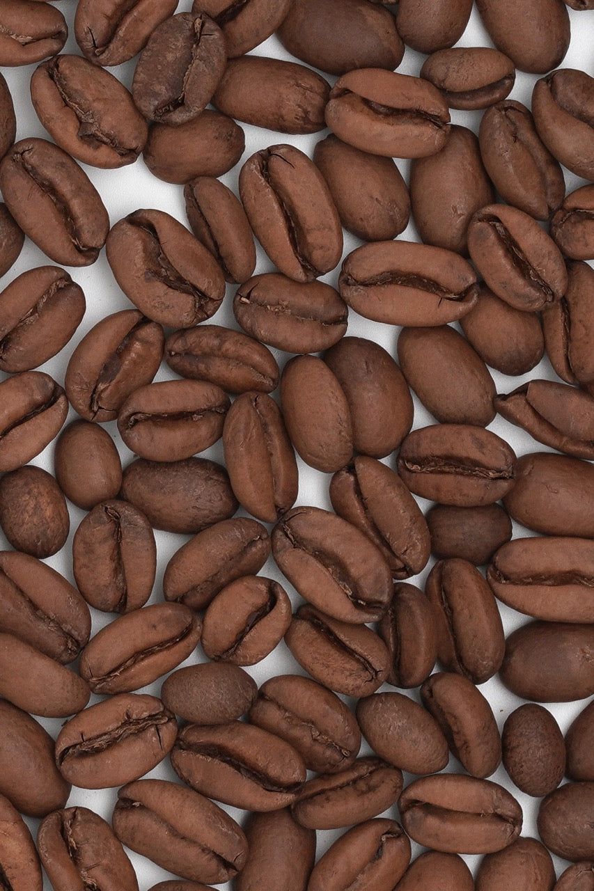 Panama Janson Family Coffee Los Alpes Geisha  48h Semi-anaerobic Natural #886