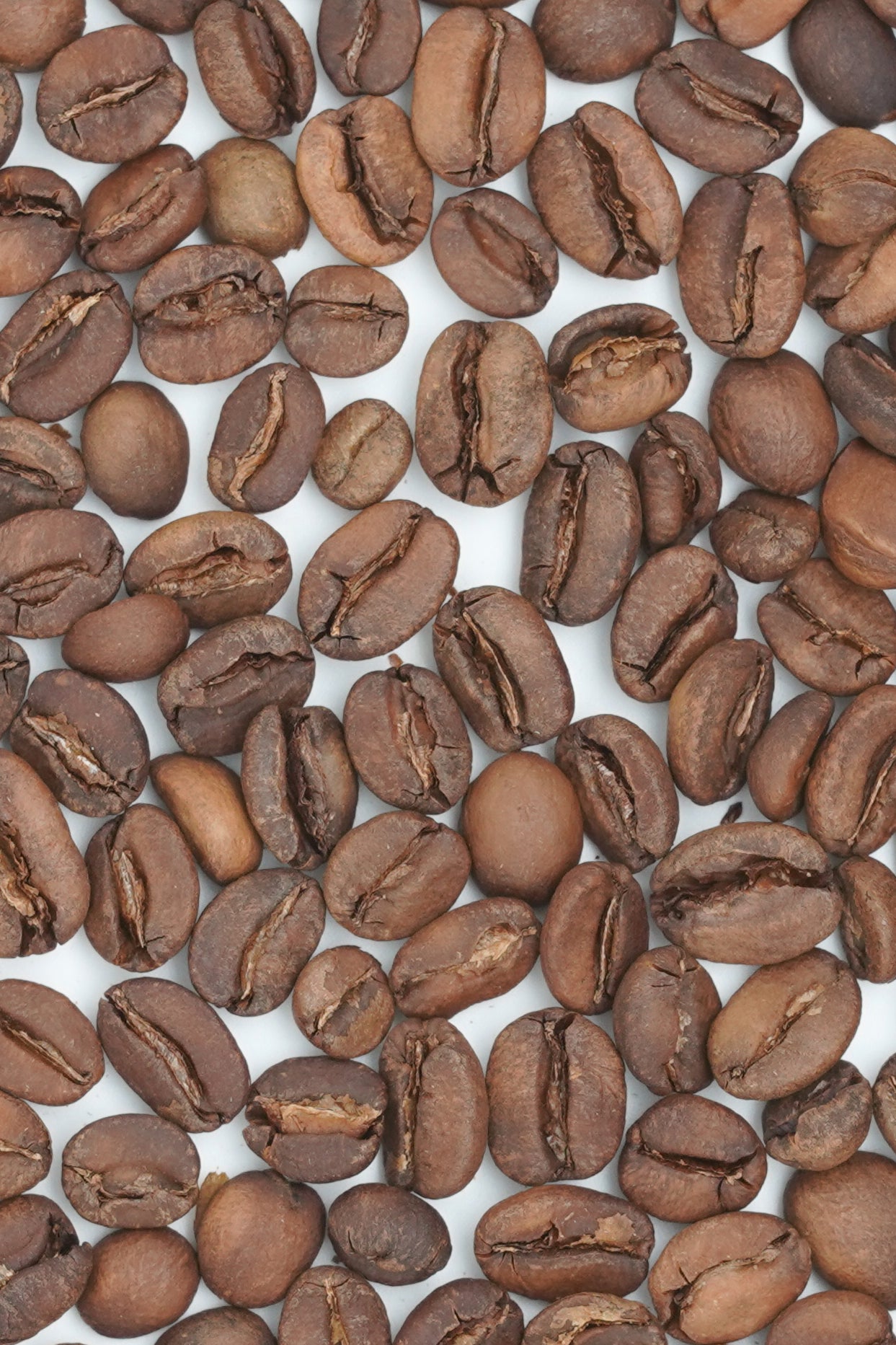 2026 New Crop Kenya Kamavindi-Gatura station SL28&SL34 Slow dry natural