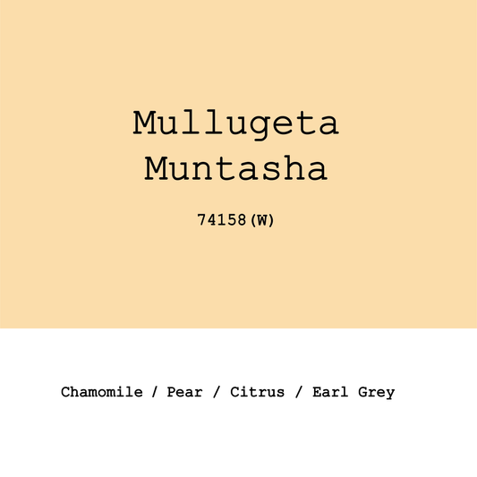 Ethiopia Arbegona Sidama Mullugeta Muntasha 74158 Washed