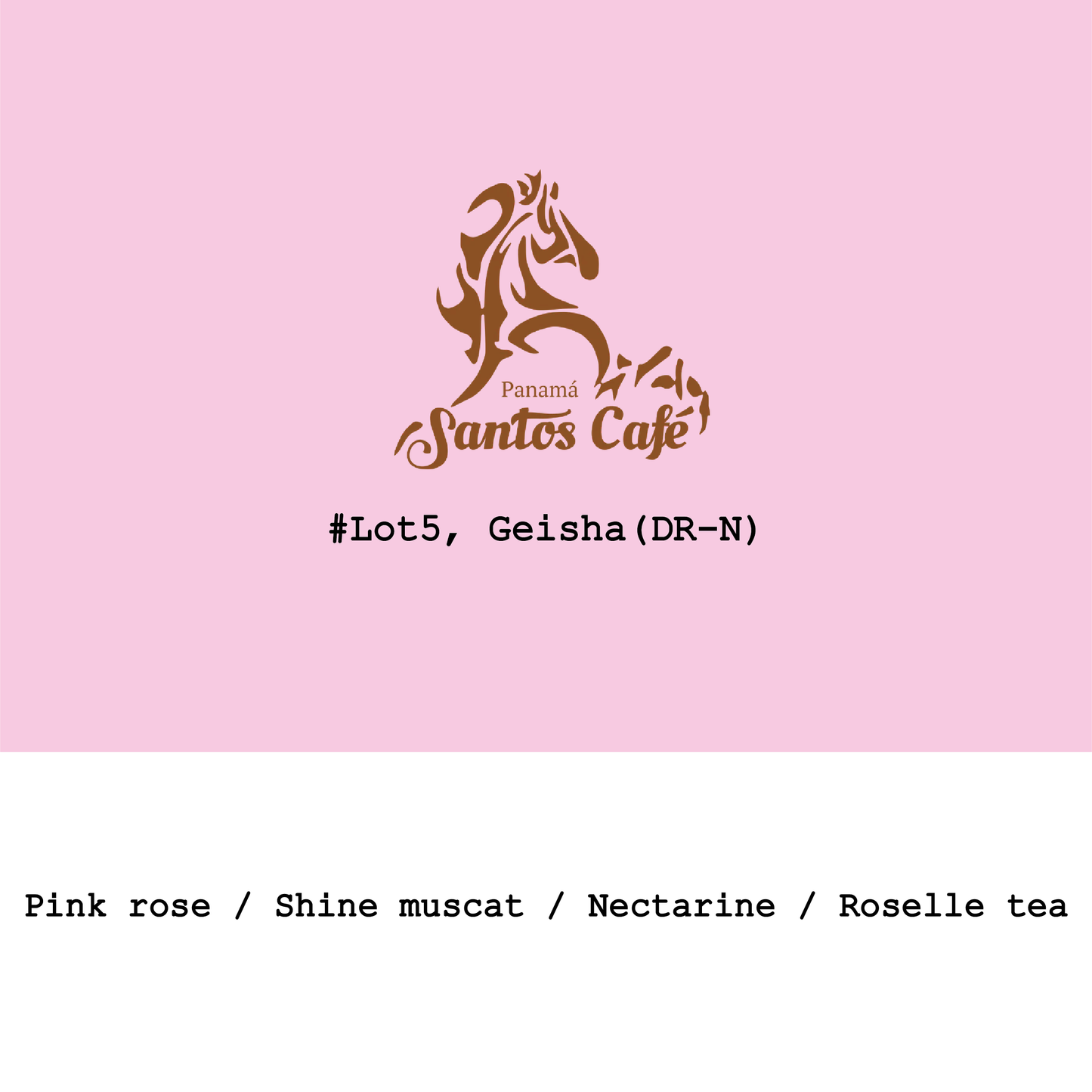 Panama Santos café-La Mimada Lot5 Geisha Dark-room natural