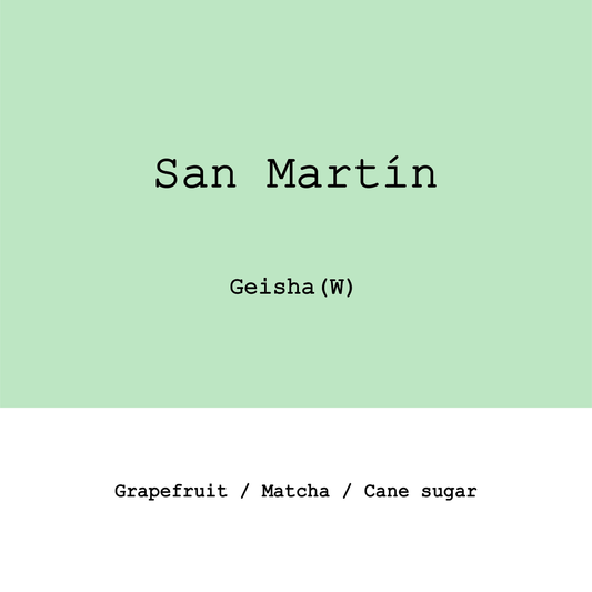 Costa Rica San Martín Geisha Double Fully Washed