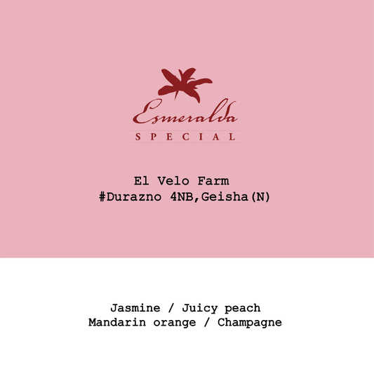 Panama HLE-El Velo #Durazno 4NB Geisha Traditional Natural
